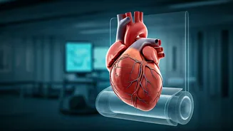 Beyond the Treadmill: Unveiling the True Picture of Your Heart Health