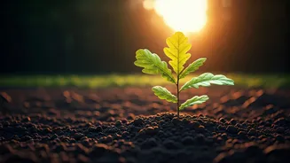 The Future Belongs To Patient Investors