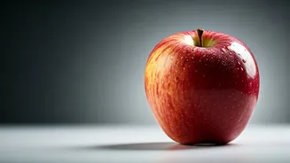 Persistent Hunger After Meals? Unpacking the Causes and Solutions for Lasting Fullness