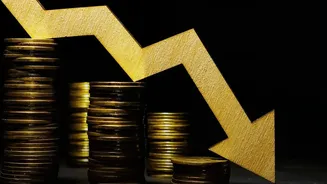 Small-Savings Rate Freeze: What Investors In PPF And NSC Can Expect