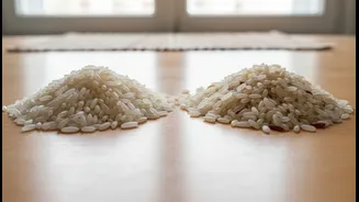 Arroz: Como Evitar Gastos Extras e Escolher o Tipo Certo para Cada Receita