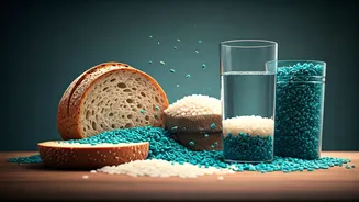 Microplastics Found In Daily Staples: What You Can Do