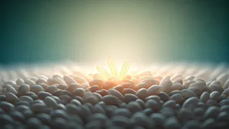 Unlock Gut Health: Master the Art of Eating Rice the Smart Way