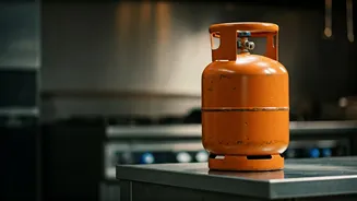 Commercial LPG Has Entered India's Food Scene