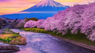 Skip Mount Fuji's Busiest Trail and Enjoy Nearby Views Instead