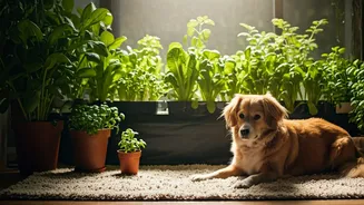 Why Urban Farming Is Ultimate Trend For Indian Pet Parents