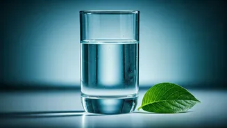 Beyond the Sip: Distinguishing Normal Thirst from Diabetes's Persistent Call