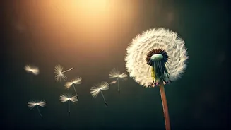 Related Stories banner