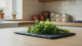 Indian Consumers Face Costlier Coriander As Monsoon Disrupts Supply Chains