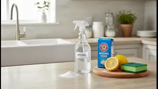 Low-Chemical Monsoon Cleaning Could Help Renters and Home Cleaners Handle Routine Dirt with Simpler Ingredients, but Evidence Still Matters