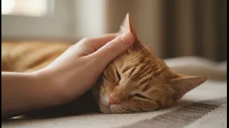 Pet Companionship May Influence Stress More Than You Think, Study Finds