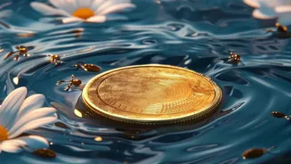 India's Rs 3,811 Crore Unclaimed Mutual-Fund Pool Makes Unpaid Redemptions And Dividends Worth Checking