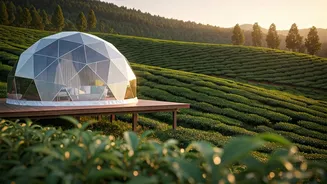Private Glamping Domes Overlooking Rich Tea Gardens Offer Escape