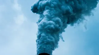 Air Pollution And Dementia Study: PM2.5 Exposure Measures Explained