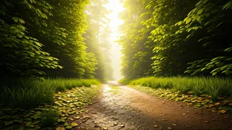 Tiny Walks Are The New Mental Refresh Hack