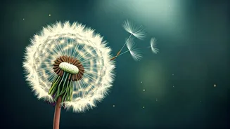 Mastering Mental Well-being: Your Guide to Anxiety and Depression Management