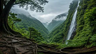 Meghalaya Is Calling With Peak Monsoon Drama