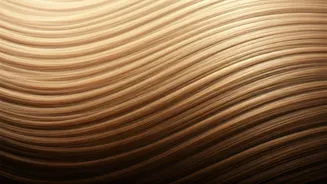 Related Stories banner