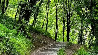 Slippery Paths Need Shorter Steps and Fewer Sudden Turns