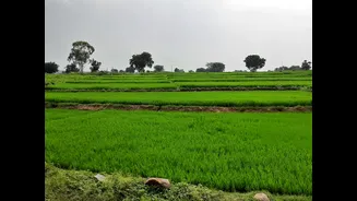 Low Pressure Systems to Impact Andhra Pradesh and Telangana Weather