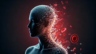 Unlocking Your Cravings: What Persistent Sweet Desires Reveal About Your Health