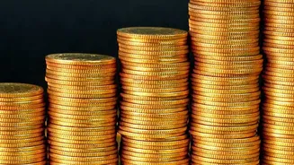 $100,000 OPT Proposal: The Status, Scale and Wider Context