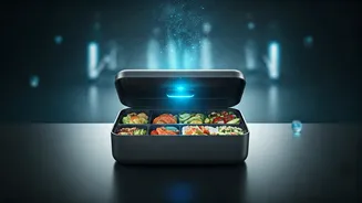 Safer Lunchboxes Are Becoming A Food-Science Topic
