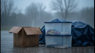 Renters Should Not Trust Cardboard Alone During A Rainy Move