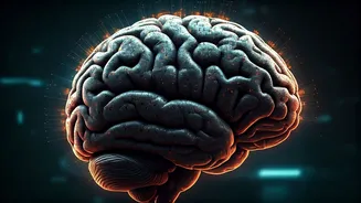 GTA 6 Leaks: Revolutionary AI, Realistic NPCs, and a November 2026 Release Date Revealed!