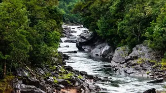Five Monsoon Destinations That Turn Rain Into An Experience