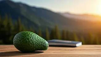 Food, Travel, Climate: The New Lifestyle Triangle
