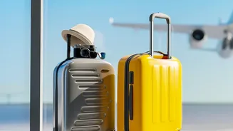 How To Find Better Flight Options For Festive Travel