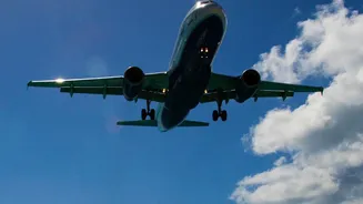 Understanding the Sector's July Hiring Advantage in the Context of July's 17% Travel-And-Tourism Hiring Rise