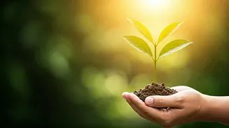 Nurturing Potential: Fostering Growth in Children with Down Syndrome