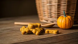 DIY Pumpkin Puree Dog Treats Solve Humid Afternoon Boredom
