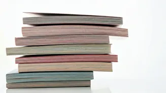 Global Mobility: Passport Powerhouses Revealed in 2026