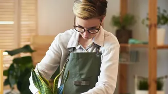 Avoid Repotting a Stressed Plant Unless Drainage or Roots Demand It