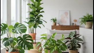Houseplants That Stay Healthy Through Humid Months