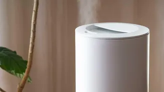 The Latest Sustainable Decor Trend Turns Humidity Care into a Reader-Service Question
