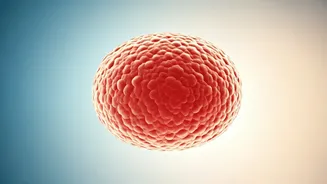 Unlocking Psoriasis Relief: A Comprehensive Guide to Management and Well-being