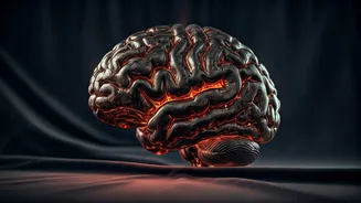 Medhansh: Exploring the Realm of Intellect