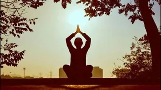 Ministry of AYUSH, WHO unveil yoga modules targeting lifestyle diseases