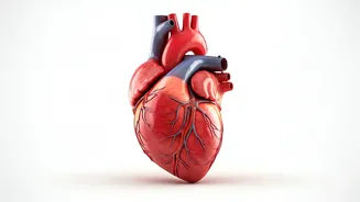 Five Habits for a Longer, Healthier Life: Simple Steps