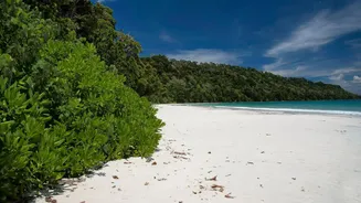 Indian Beaches That Deserve a Place on Your Bucket List