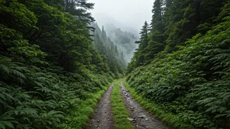 Is Chopta The Best Offbeat Monsoon Trek In India