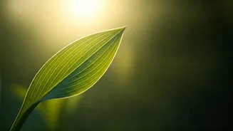 Related Stories banner