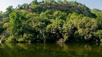 Affordable Mountain, Forest And Riverside Escapes Near Delhi This August