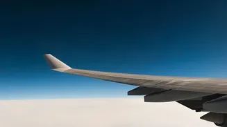 Delhi To Guangzhou Flights Are Back: Route Details Travellers Should Check Before Booking