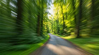 Burnout, Loneliness, & Taking a Pause: A Guide