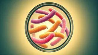 How Cultured Drinks Safeguard Your Stomachs Against Roadside Infections